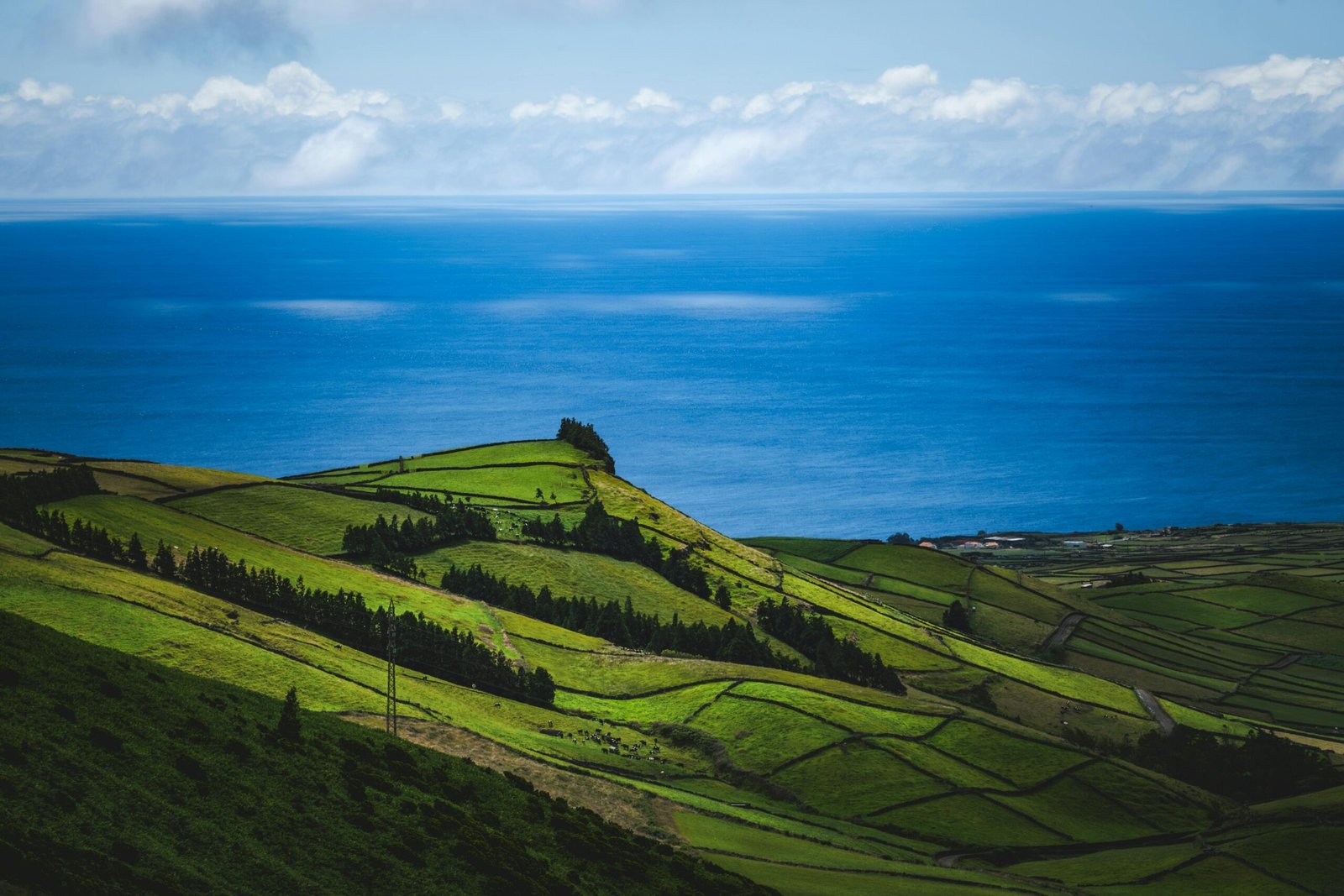 pexels-francesco-ungaro-33861746