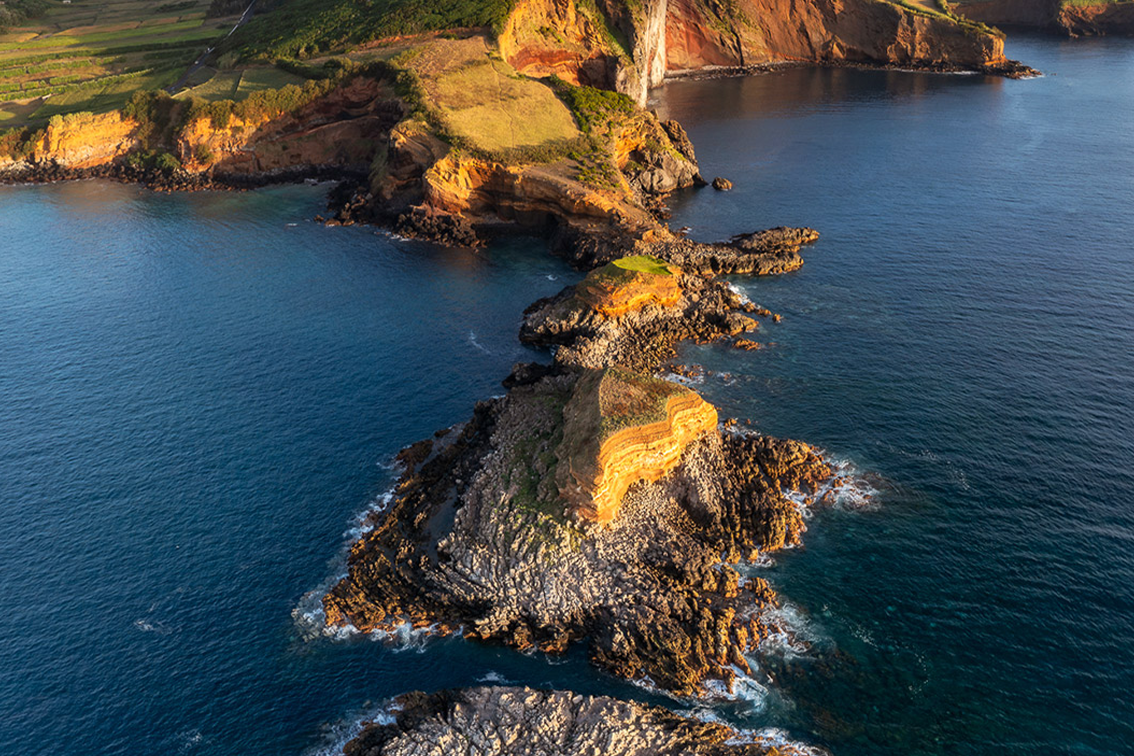 Whatcanido foto colection